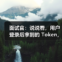 面试官:说说看,用户登录后拿到的 Token,你应该怎么存?存哪里?(图2) 面试官:说说看,用户登录后拿到的 Token,你应该怎么存?存哪里?(图2)