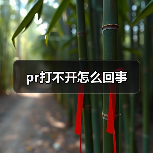 pr打不开怎么回事(图4) pr打不开怎么回事(图4)