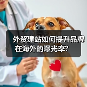 外贸建站提升海外品牌曝光率全攻略 - 推荐阅读文章