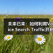 未来已来如何利用Voice Search Traffic开启 - 推荐阅读文章
