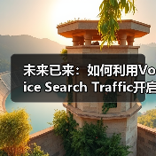 未来已来:如何利用Voice Search Traffic开启新兴渠道的成功密码(图2) 未来已来:如何利用Voice Search Traffic开启新兴渠道的成功密码(图2)