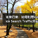 未来已来:如何利用Voice Search Traffic开启新兴渠道的成功密码(图4) 未来已来:如何利用Voice Search Traffic开启新兴渠道的成功密码(图4)