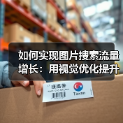 如何实现图片搜索流量增长:用视觉优化提升点击率的秘密(图4) 如何实现图片搜索流量增长:用视觉优化提升点击率的秘密(图4)