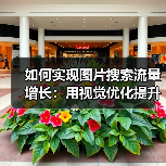 如何实现图片搜索流量增长:用视觉优化提升点击率的秘密(图3) 如何实现图片搜索流量增长:用视觉优化提升点击率的秘密(图3)