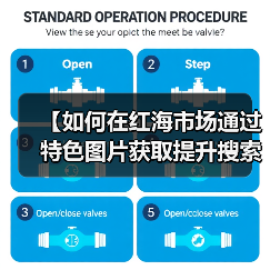 【如何在红海市场通过特色图片获取提升搜索排名?揭秘行业差异化战略】(图2) 【如何在红海市场通过特色图片获取提升搜索排名?揭秘行业差异化战略】(图2)
