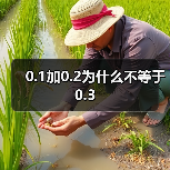 0.1加0.2为什么不等于0.3(图2) 0.1加0.2为什么不等于0.3(图2)