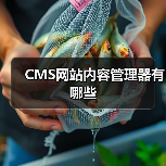 CMS网站内容管理器全攻略 - 推荐阅读文章