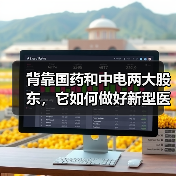 背靠国药和中电两大股东,它如何做好新型医疗服务运营商?(图1) 背靠国药和中电两大股东,它如何做好新型医疗服务运营商?(图1)