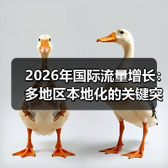 2026年国际流量增长:多地区本地化的关键突破策略(图4) 2026年国际流量增长:多地区本地化的关键突破策略(图4)