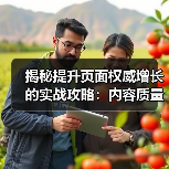 揭秘提升页面权威增长的实战攻略:内容质量决定排名能力(图1) 揭秘提升页面权威增长的实战攻略:内容质量决定排名能力(图1)