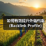 提升外链档案质量数量全攻略 - 推荐阅读文章
