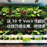 这 10 个 Vue3 性能优化技巧很实用,但很多项目都没用上(图4) 这 10 个 Vue3 性能优化技巧很实用,但很多项目都没用上(图4)