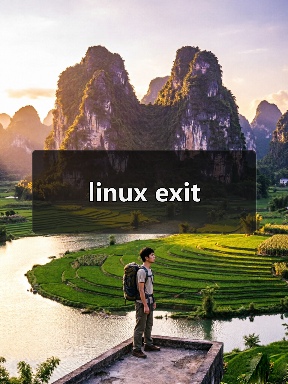 linux exit（图1）