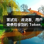 面试官:说说看,用户登录后拿到的 Token,你应该怎么存?存哪里?(图3) 面试官:说说看,用户登录后拿到的 Token,你应该怎么存?存哪里?(图3)