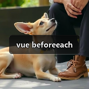 Vue Router beforeEach全局守卫全攻略 - 推荐阅读文章