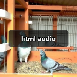 HTML audio元素使用方法全攻略 - 推荐阅读文章