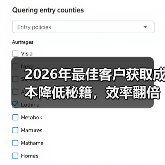 2026年最佳客户获取成本降低秘籍，效率翻倍不是梦（图1）