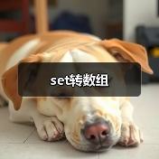 set转数组(图3) set转数组(图3)