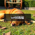 set转数组(图2) set转数组(图2)