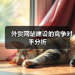 外贸网站建设的竞争对手分析(图4) 外贸网站建设的竞争对手分析(图4)