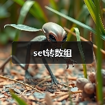 set转数组方法与注意事项｜实用指南 - 推荐阅读文章