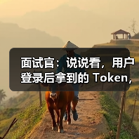 面试官:说说看,用户登录后拿到的 Token,你应该怎么存?存哪里?(图2) 面试官:说说看,用户登录后拿到的 Token,你应该怎么存?存哪里?(图2)