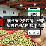 瞄准神经类疾病,妞诺科技开创AI引导下的脑电行业新模式(图4) 瞄准神经类疾病,妞诺科技开创AI引导下的脑电行业新模式(图4)