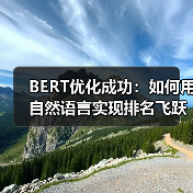 BERT优化成功：如何用自然语言实现排名飞跃（图2）