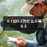 0.1加0.2为什么不等于0.3(图2) 0.1加0.2为什么不等于0.3(图2)