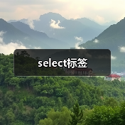 select标签用法详解与样式优化指南 - 推荐阅读文章