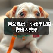 网站建设:小成本也能做出大效果(图4) 网站建设:小成本也能做出大效果(图4)