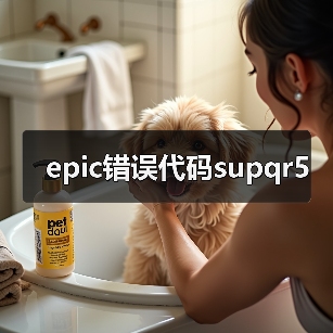 epic错误代码supqr5(图2) epic错误代码supqr5(图2)