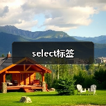 select标签(图2) select标签(图2)