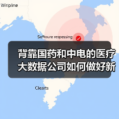 背靠国药和中电的医疗大数据公司如何做好新型医疗服务运营商?(图4) 背靠国药和中电的医疗大数据公司如何做好新型医疗服务运营商?(图4)