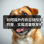 如何提升内容营销投资回报，实现流量爆发和转化翻倍（图2）