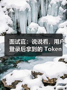 面试官：说说看，用户登录后拿到的 Token，你应该怎么存？存哪里？（图2）