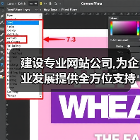 建设专业网站公司助力企业发展｜全方位支持全攻略 - 推荐阅读文章