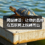 网站建设:让你的品牌在互联网上脱颖而出(图4) 网站建设:让你的品牌在互联网上脱颖而出(图4)