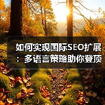如何实现国际SEO扩展:多语言策略助你登顶区域排名(图4) 如何实现国际SEO扩展:多语言策略助你登顶区域排名(图4)