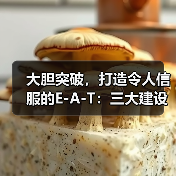 大胆突破，打造令人信服的E-A-T：三大建设案例揭秘（图4）