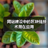 网站建设中的区块链技术潜在应用(图2) 网站建设中的区块链技术潜在应用(图2)
