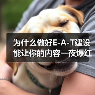 为什么做好E-A-T建设能让你的内容一夜爆红?揭示成功案例背后的秘密(图4) 为什么做好E-A-T建设能让你的内容一夜爆红?揭示成功案例背后的秘密(图4)