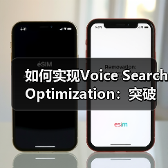 如何实现Voice Search Optimization:突破口与实战案例(图2) 如何实现Voice Search Optimization:突破口与实战案例(图2)