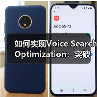 语音搜索优化实战技巧与案例分析 - 推荐阅读文章