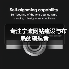 专注宁波网站建设与布局的领航者(图4) 专注宁波网站建设与布局的领航者(图4)
