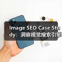Image SEO Case Study:洞察视觉搜索引擎如何推动流量爆发(图1) Image SEO Case Study:洞察视觉搜索引擎如何推动流量爆发(图1)