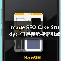 Image SEO Case Study:洞察视觉搜索引擎如何推动流量爆发(图3) Image SEO Case Study:洞察视觉搜索引擎如何推动流量爆发(图3)