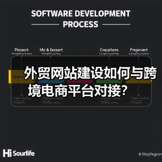 外贸网站建设如何与跨境电商平台对接?(图3) 外贸网站建设如何与跨境电商平台对接?(图3)