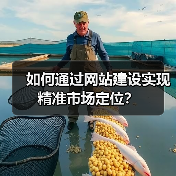 如何通过网站建设实现精准市场定位?(图3) 如何通过网站建设实现精准市场定位?(图3)
