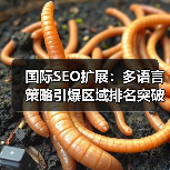 国际SEO扩展:多语言策略引爆区域排名突破(图2) 国际SEO扩展:多语言策略引爆区域排名突破(图2)